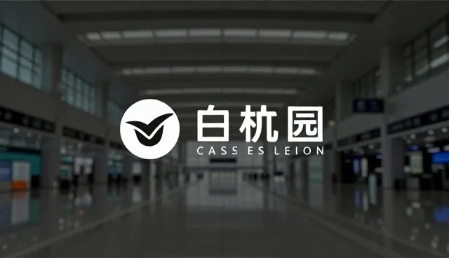 平面设计性能优化有哪些常见误区?