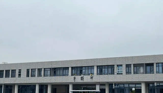 平面设计质量如何影响新媒体账号投放效果